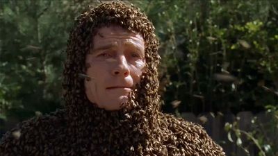 I Had No Idea Bryan Cranston Was So 'Fearless' On Malcolm In The Middle, But This Story About 10,000 Bees Proves It