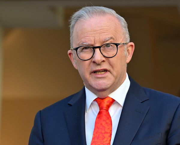 Albanese calls on US and Iran to resume peace negotiations and reopen strait of Hormuz