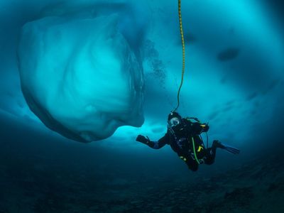 Ice caps, a trillion genes and the London AI firm using DNA to design new drugs