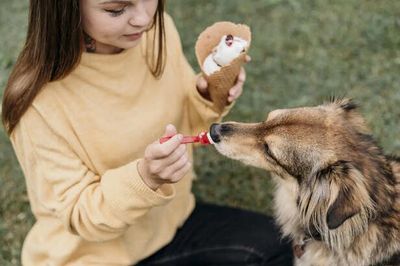 Poisonous Foods for Pets You Must Avoid