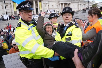 Met Police arrest 523 people at Palestine Action protest