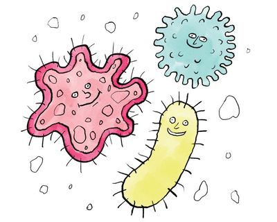 Is it true that … having a diverse microbiome stops you from getting sick?