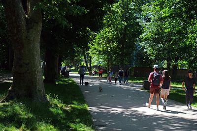 London parks 'toxic chicken' alert as poisoned meat kills animals in capital