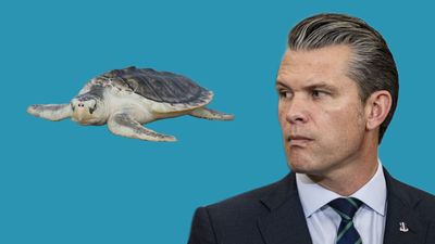 How Trump’s ‘God Squad’ Could Devastate Endangered Species Along Texas’ Gulf Coast