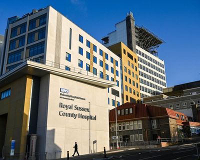 Sussex baby deaths inquiry will fail to learn lessons after excluding families, Streeting warned