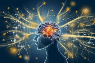 AI startup to give humans ‘perfect’ memory launched by Harvard professor