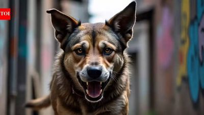 UK dog attack: 19-year-old woman dies in Essex property attack