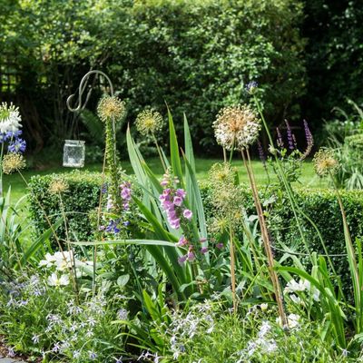 7 summer bulbs to plant in April – this month is crucial if you want to turn your garden into a colourful paradise