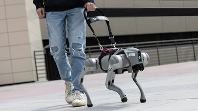 Robot dogs powered by AI to guide blind people? Yup, they're a thing now