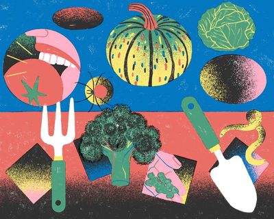 Start small, grow what you like and be realistic: how to start a vegetable garden