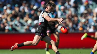 'Dismissively refused': Port criticise umpire