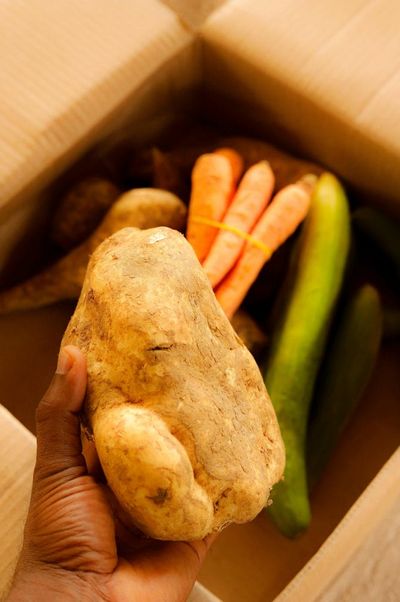 Why Stores Are Selling Ugly Produce to Combat Grocery Inflation