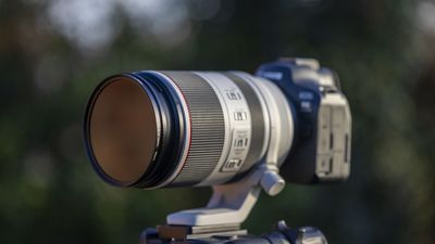 Fotga Adjustable Infrared Filter review: a variable filter for both color and black-and-white IR images