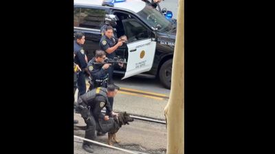 San Diego Police Released K9 to Arrest Cane Attack Suspect—Victim Hospitalised Due to Multiple Head Blows