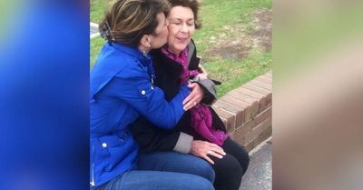 Why the $1.2M Reward Hasn't Broken the Silence in Nancy Guthrie Kidnapping Case