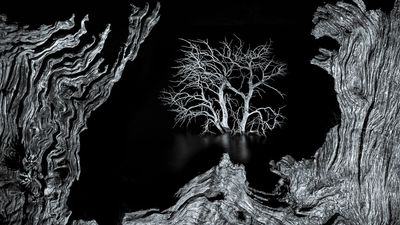 This 'unreal' image was shot in-camera using a complex dual focal-length long-exposure technique – using a 13-year-old DSLR in complete darkness