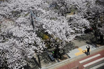 South Korean airlines make changes to Thai flights