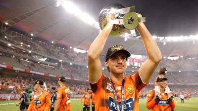 IPL part-ownership possibilities for Big Bash clubs