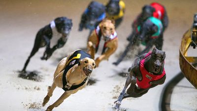 'On edge': vote imminent on greyhound racing's future