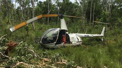 Four face charges of stealing crocodile eggs in Kakadu