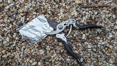 I tried the viral aluminum foil trick to sharpen my dull pruners. Here’s what happened
