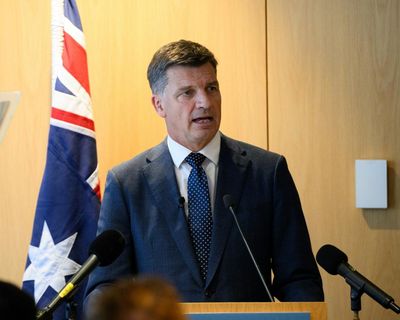 Angus Taylor accused of ‘desperate dog-whistle’ immigration speech as Pauline Hanson takes credit