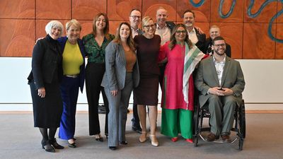 Greens confirm environmental lawyer as newest senator