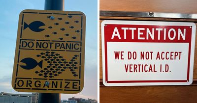 “There Are Bees”: 65 Signs That Are As Confusing As They Are Funny (New Pics)