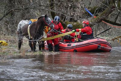 Horse swept away in a fast-moving flood in Illinois rescued after eight hours