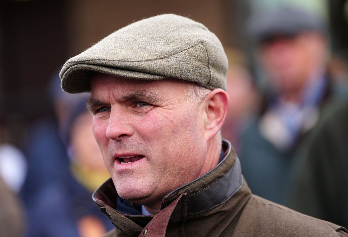 Breathtaking Horse Trainer Evan Williams Jailed For Three Years After Assault Design Concept Breathtaking Horse Trainer Evan Williams Jailed For Three Years After Assault Design Concept