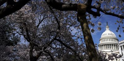 Will voters turn against Donald Trump in the US midterms? What we know so far