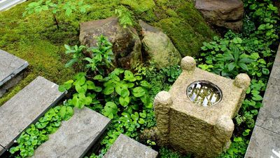 Japanese Moss Gardens Are the Calm, Minimalist Idea for Outdoors — Here’s How to Recreate Them, According to a Japanese Landscape Designer