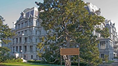 In his bid to redecorate Washington, Trump wants ‘magic paint’ to make Historic landmark white, even if experts say it will cause ‘permanent damage’