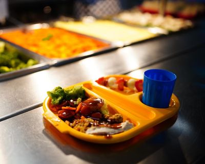 Pupils in England may reject new healthier school lunches, pilot suggests
