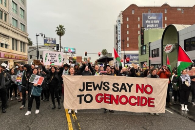 'Senators Have the Power to Stop This' — Chelsea Manning Among Over 100 Arrested at NYC Anti-Arms Sale Protest