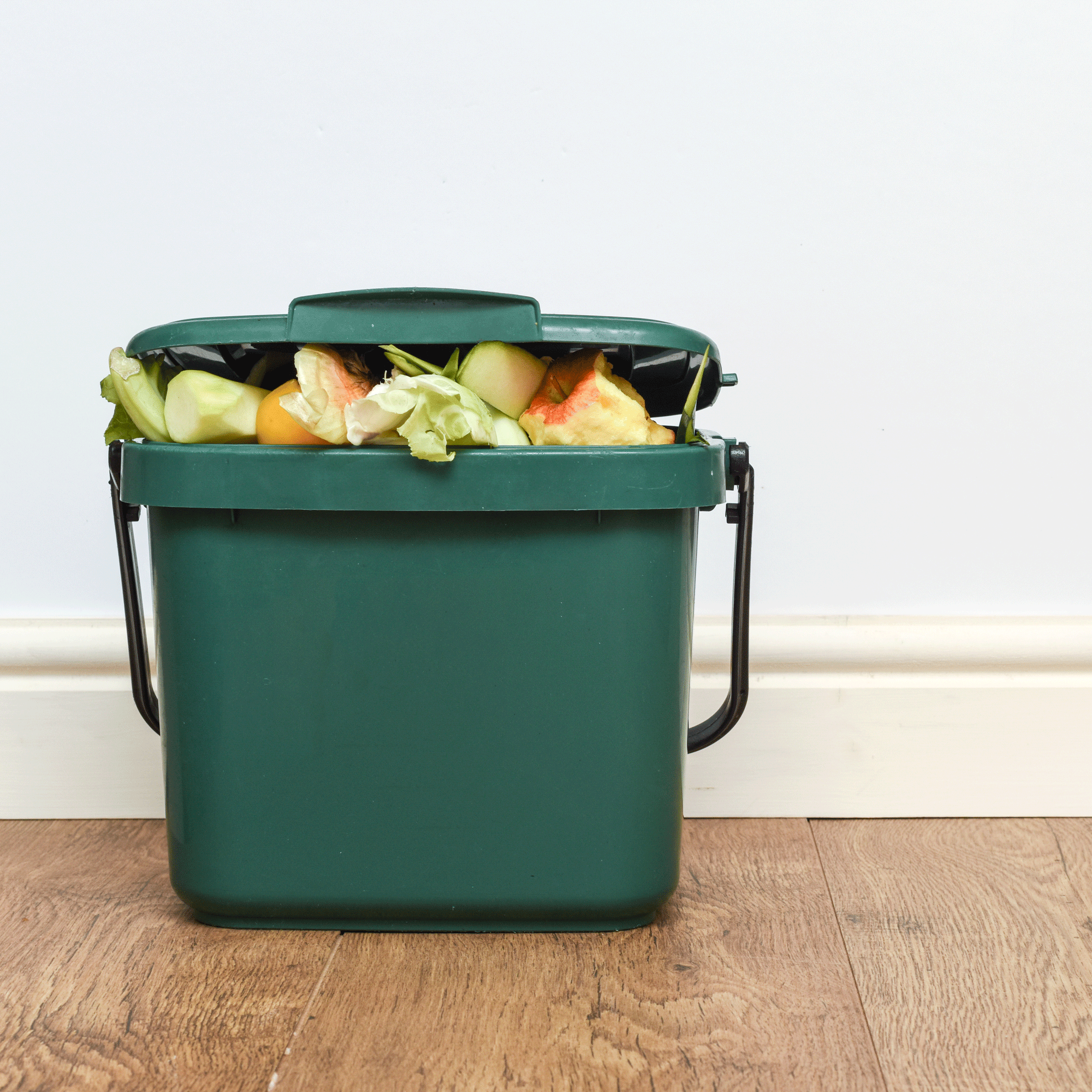 Waste experts reveal how to deter flies from your food waste bin this summer – 3 easy fixes to make following new recycling rules a breeze