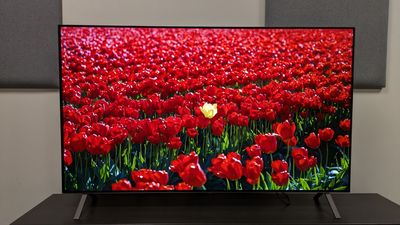 Not one, but two LG B6 models appear on Amazon — here are the differences between the two budget OLED TVs