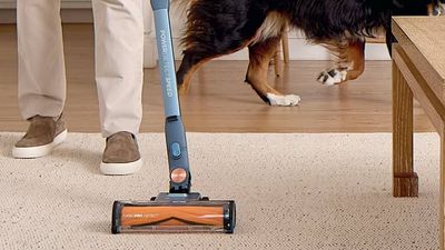 Shark’s new PowerDetect cordless vacuum has my favourite vacuum cleaner feature