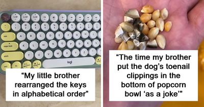 65 Times People Were So Appalled By Their Siblings, They Questioned If They Really Had The Same Parents (New Pics)