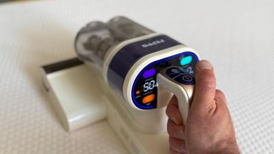 Allergies ruining your sleep? Here's how to pollen-proof your mattress and bedding