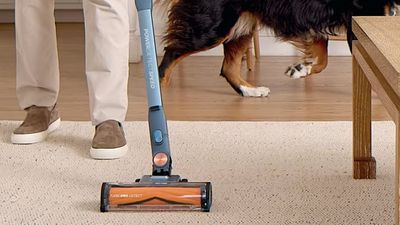 Shark just launched a vacuum combining two of its greatest features — and I can't wait to try it out