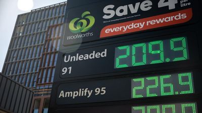 'Oil doesn't discriminate': businesses on shaky ground