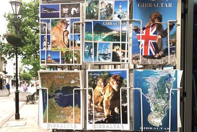 Gibraltar to align with Schengen area in time for summer holidays following post-Brexit deal