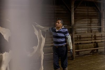 ‘They want to keep denying us our rights’: workers in Vermont’s $5.4bn dairy industry fight for basic labor protections