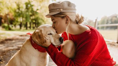 Your Dog Doesn’t Forget You- Even for a Moment, Science Says