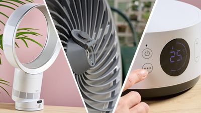 Need a fan before the hot weather settles in? These are the desktop models that blew us away last summer