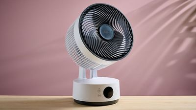 The 3 best desktop fans we've tested — including an affordable model that 'blast out impressively strong airflow at a pleasingly low volume'