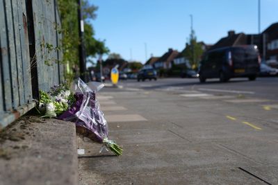 Two officers charged after pregnant woman and unborn baby killed in crash with Met police car