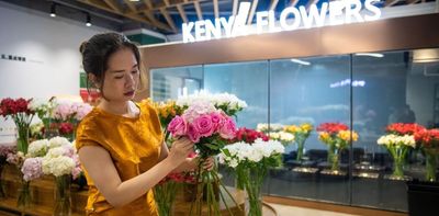 China’s Africa strategy is shifting and Iran conflict will speed it up