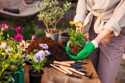 Stop Buying Potting Soil: The 3-Ingredient “Dirt” Recipe You Can Make for Pennies